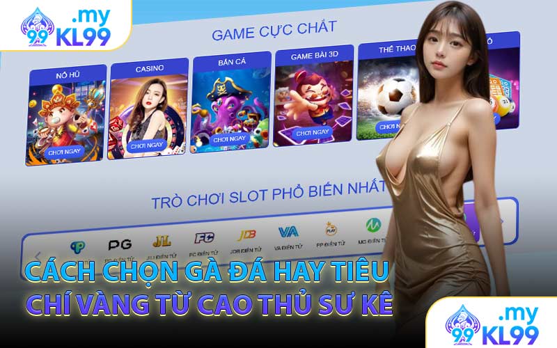 Cách Chọn Gà Đá Hay Tiêu Chí Vàng Từ Cao Thủ Sư kê